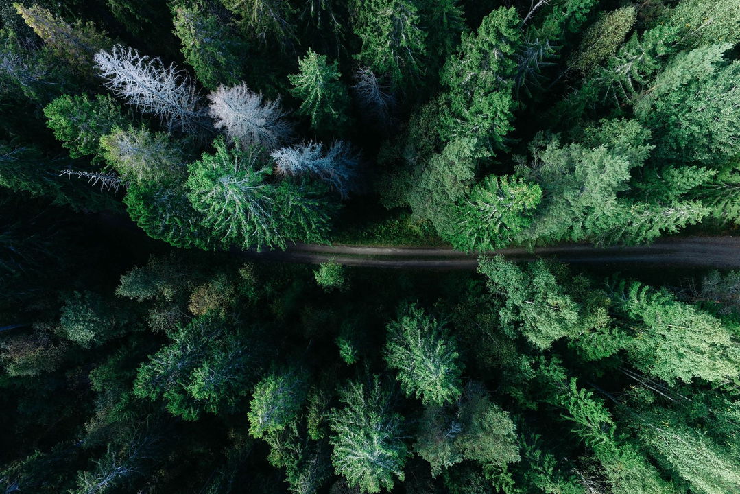 Important European sustainability regulatory updates in summer and autumn, 2023.