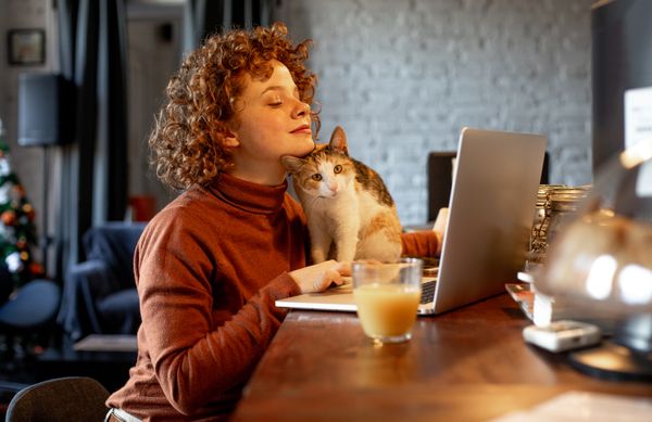 Frau bestellt Weihnachtsgeschenke am Laptop mit ihrer Katze.