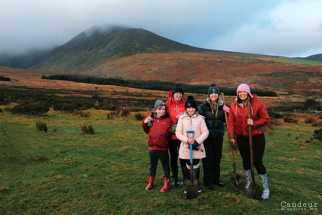 Volunteers planting native Irish trees at a Reforest Nation planting day.