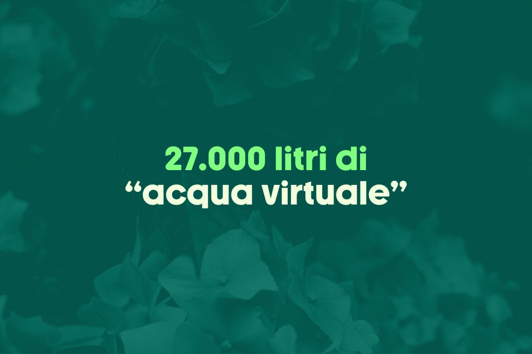 Fonte: Studio condotto in collaborazione con Fraunhofer Austria.