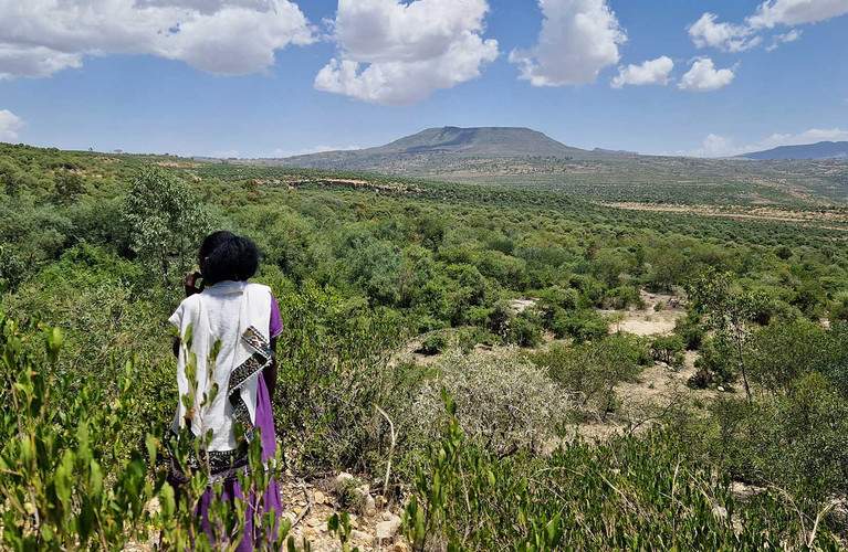 In partnership with myclimate, refurbed supports reforestation in northern Ethiopia to store carbon, enhance biodiversity, and create local income.