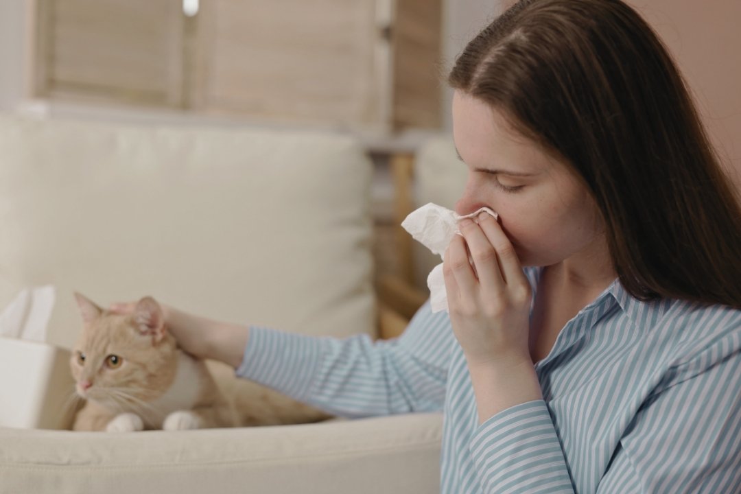 Luftreiniger für Allergiker: die besten Dyson-Modelle 2026