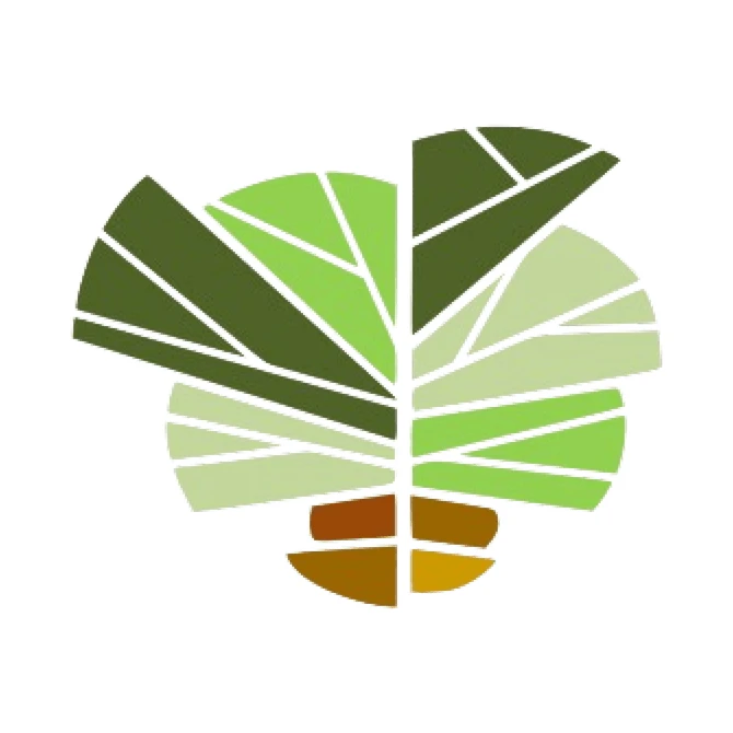 EthioTrees - Forest Restoration Ethiopia