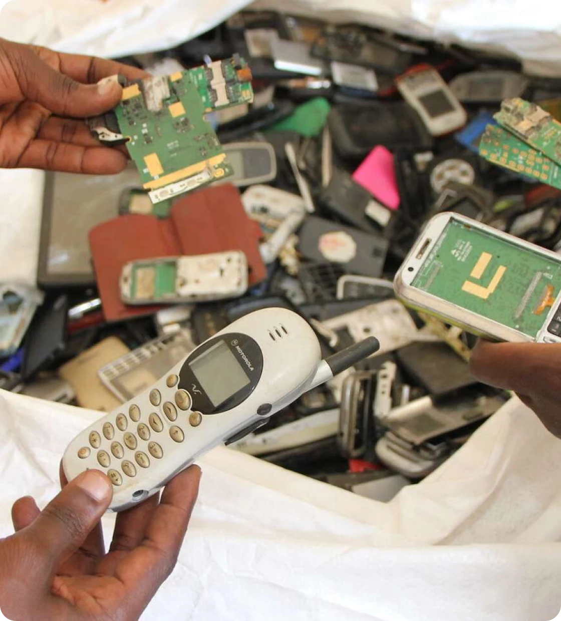 Milieubeschermingsprojecten