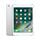 iPad mini 2 (2013) | 7.9" | 128 GB | 4G | argent | blanc thumbnail 1/2