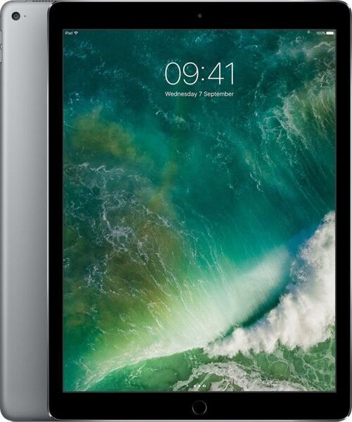 iPad Pro 1 (2015) | 12.9" | 256 GB | 4G | gris sidéral