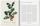 A Garden Eden. Masterpieces of Botanical Illustration | Weiß, thumbnail 1 of 4