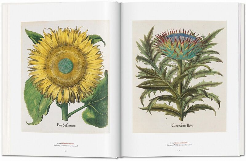 A Garden Eden. Masterpieces of Botanical Illustration | Weiß, image 3 of 4