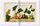 A Garden Eden. Masterpieces of Botanical Illustration | Weiß, thumbnail 4 of 4