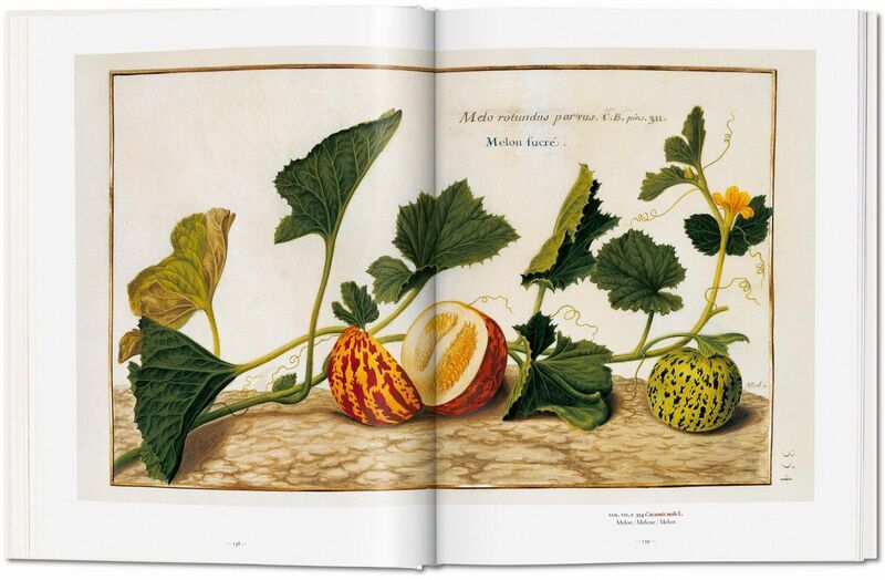 A Garden Eden. Masterpieces of Botanical Illustration | Weiß, image 4 of 4