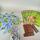 Abacusspiele Zooloretto 03071 Brettspiele | mehrfarbig, thumbnail 1 of 3