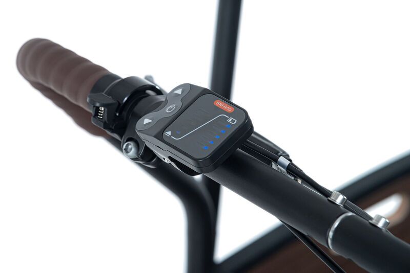 Adore Cargo Urban Deluxe (2025) | Diamant | blau | 24" | 54 cm | M | < 500 km 3