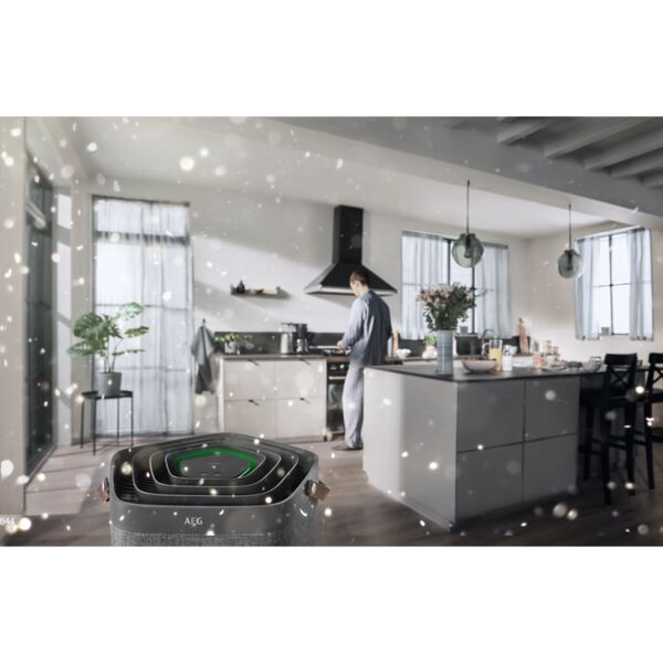 AEG AFDCAR6 Care360 Filtro di protezione | grigio 4