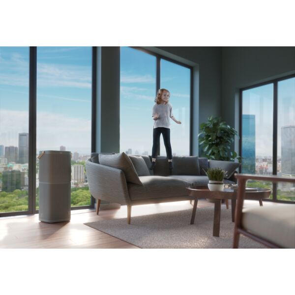 AEG AFDCAR6 Care360 Filtro di protezione | grigio 5