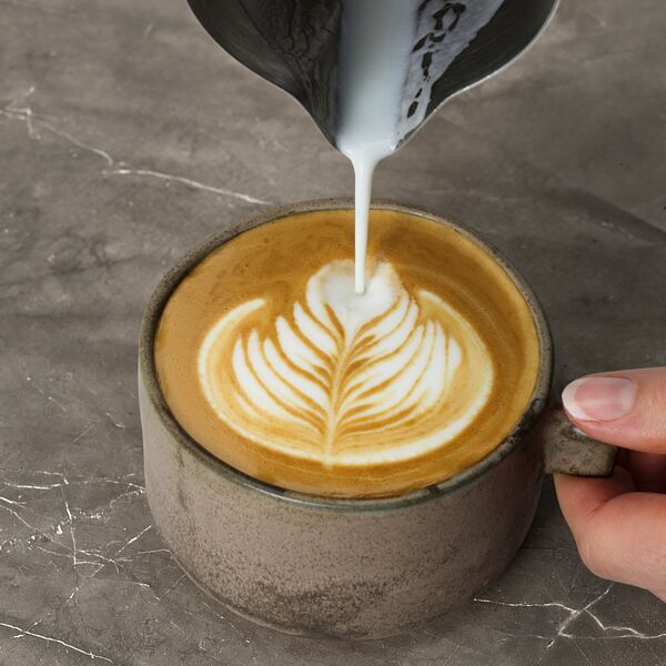 AEG EC6-1-6ST Gourmet 6 Espresso portafilter coffee maker | silver/black 5