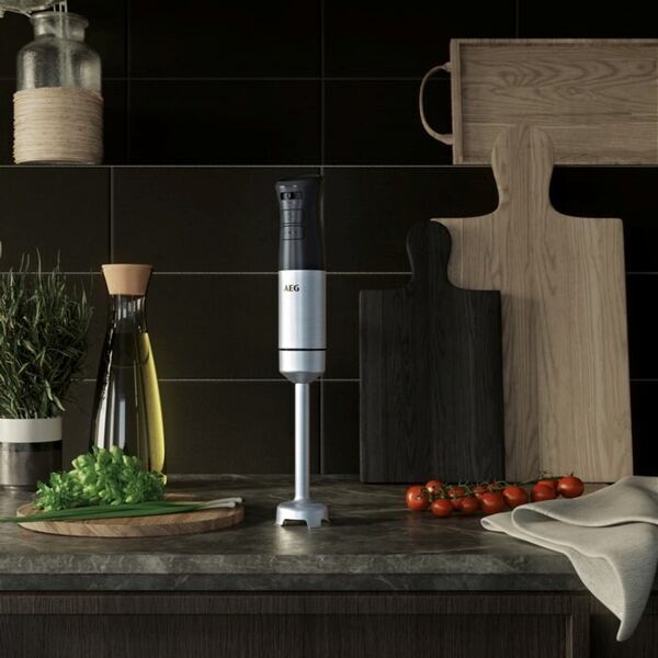 AEG HB5-1-8SS Deli 5 Hand blender | silver/black 4