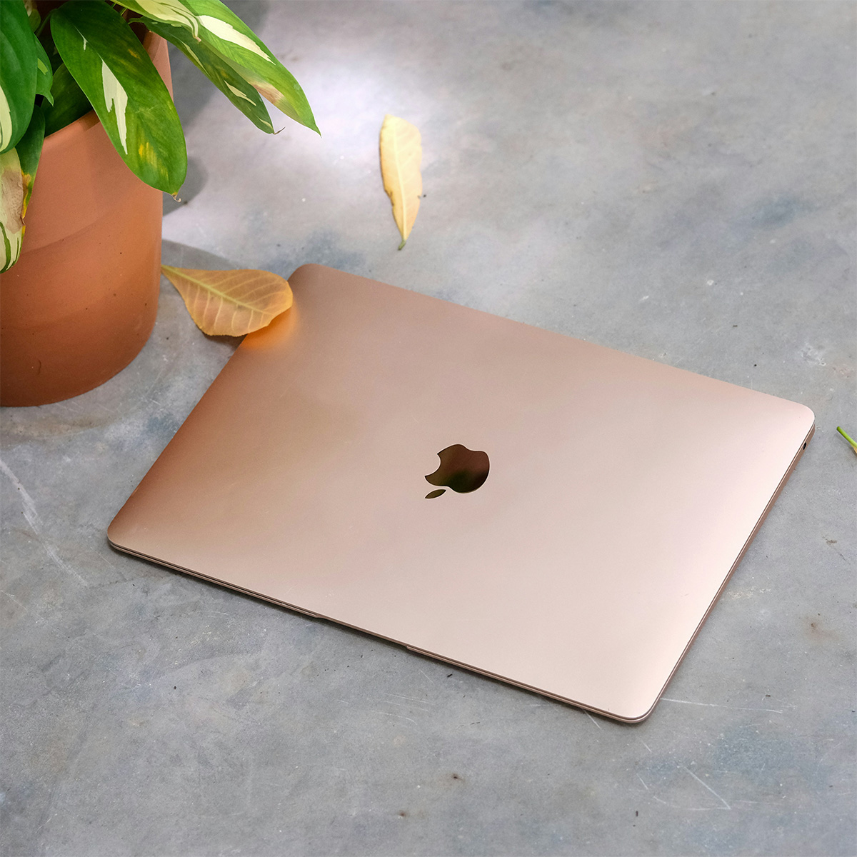 Apple MacBook Air 2020 Apple M1 16.0 GB 512 GB 13.3 