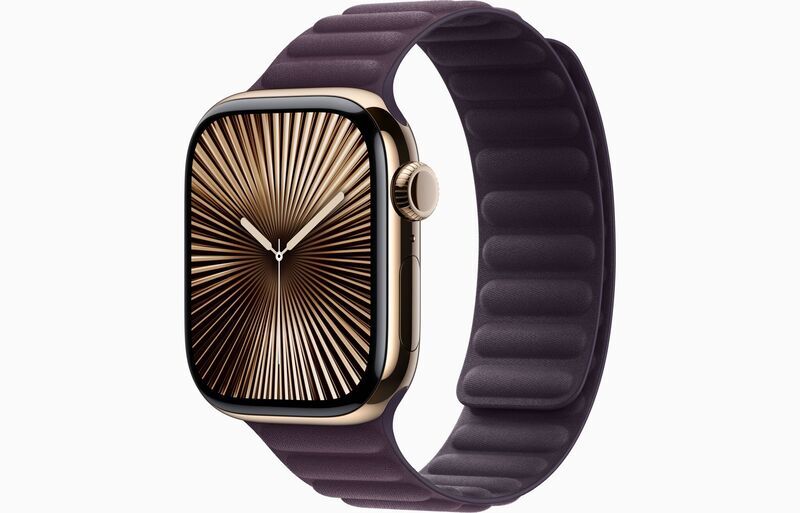 Apple Watch Series 10 Titan 42 mm (2024) | GPS + Cellular | Gold | Armband mit Magnetverschluss M/L | Brombeere 1