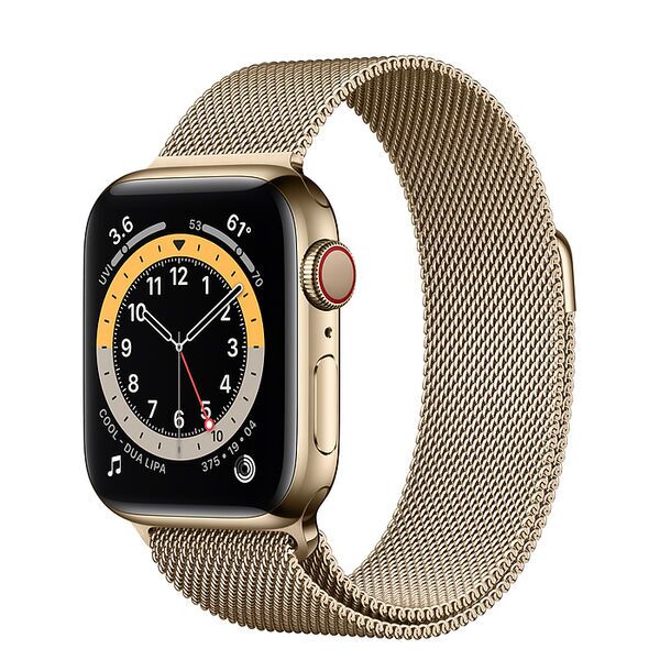 Apple Watch Series 6 Edelstahl 40 mm (2020) | gold | Milanaise Armband Gold