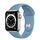 Apple Watch Series 6 Acciaio inossidabile 40 mm (2020) | argento | Cinturino Sport Blu nordico thumbnail 1/2