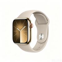 Apple Watch Series 9 Stainless Steel 41 mm (2023)