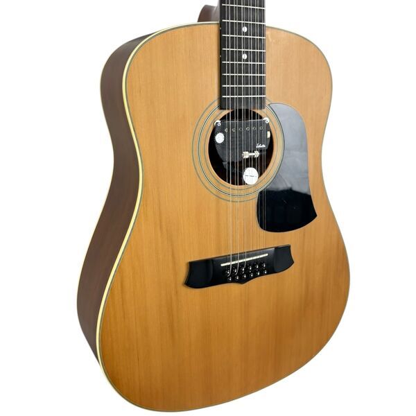 Aria 12-String Akustikgitarre - Natural | naturaalne, image 1 of 4