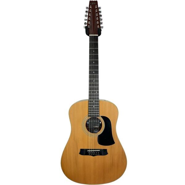 Aria 12-String Akustikgitarre - Natural | naturaalne, image 2 of 4