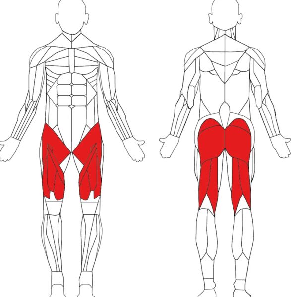 Athletic Performance Hack Squat | black, image 2 of 2