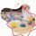 Badabulle Badabowls conteneur de rangement | multicolore, thumbnail 1 of 3