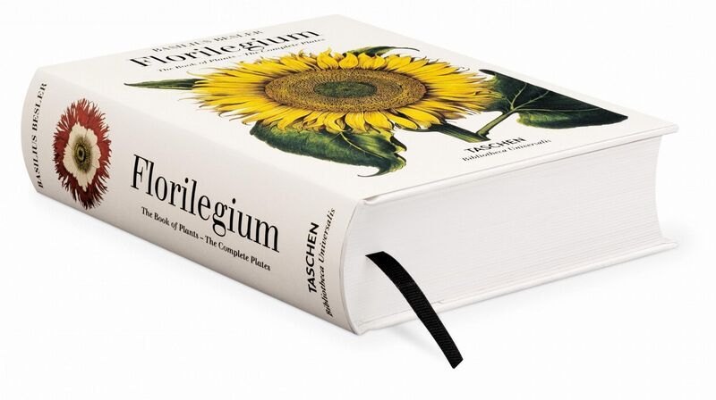 Basilius Besler Der Garten von Eichstätt Hortus Eystettensis | Weiß, image 1 of 4