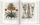 Basilius Besler Der Garten von Eichstätt Hortus Eystettensis | Weiß, thumbnail 4 of 4
