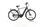 Batavus Finez E-Go Power Sport 2021 | black | 28" | 53 cm | 500 - 3000 km, thumbnail 1 of 5