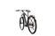 BBF Argos 1.9 (2021) | Diamond | grey | 29" | 48 cm | 2000 - 3000 km thumbnail 4/4