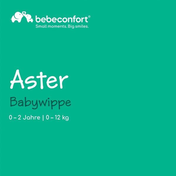 Bebeconfort Aster Babywippe | grey 2