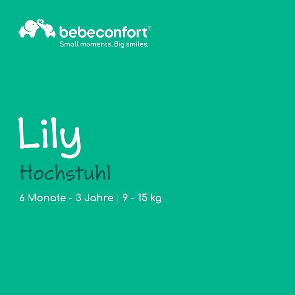 Bebeconfort Lily Hochstuhl | grey 2