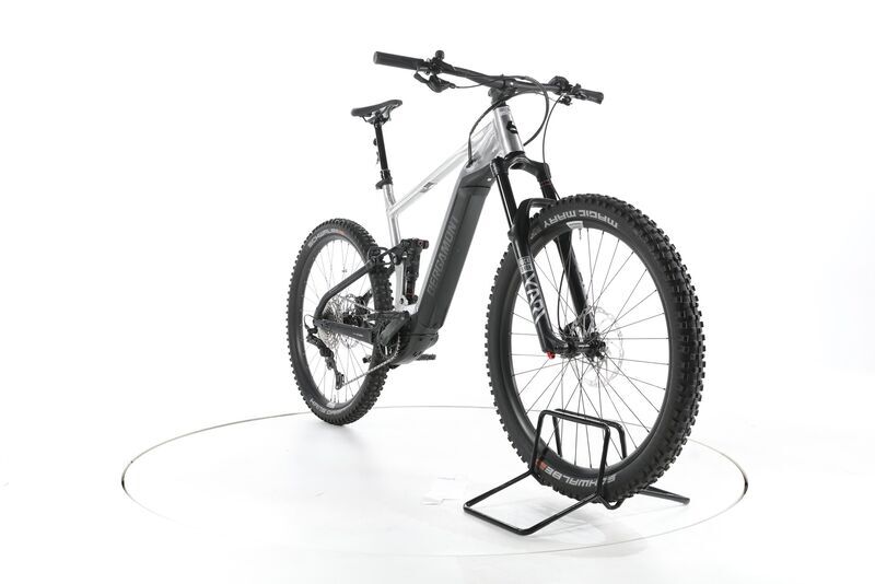 Bergamont E-Trailster Expert 2021 | silver | 29" | XL | 500-3000 km 2