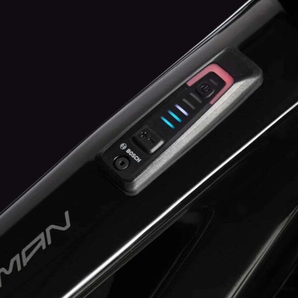 Berria Cayman (2024) | Diamant | grau | 56 cm | L | < 100 km 4