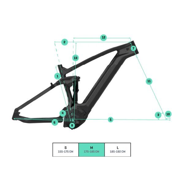 Berria Ursus Elite (2025) | Diamant | sort | 54 cm | M | < 500 km 2