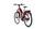 Bianchi e-Omnia T Type Lady Nexus 5 (2022) | Trapez | rot | 29" | 44 cm | M | 500 - 1000 km thumbnail 3/5