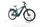 Bianchi E-Omnia T-Type 2022 | vert | 28" | XL | < 500 km, thumbnail 2 of 5