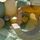 BOBLES Badankunge Honey | vit, thumbnail 3 of 3
