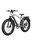 bodywel D6 Silver | silver | 26" | unisize | < 500 km, thumbnail 1 of 5