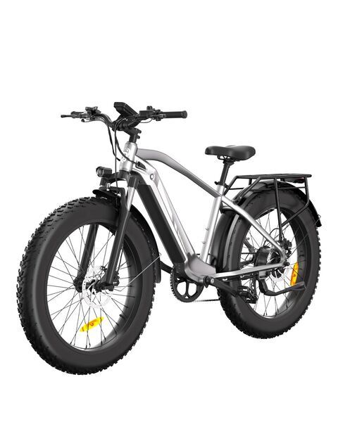 bodywel D6 Silver | silver | 26" | unisize | < 500 km, image 1 of 5
