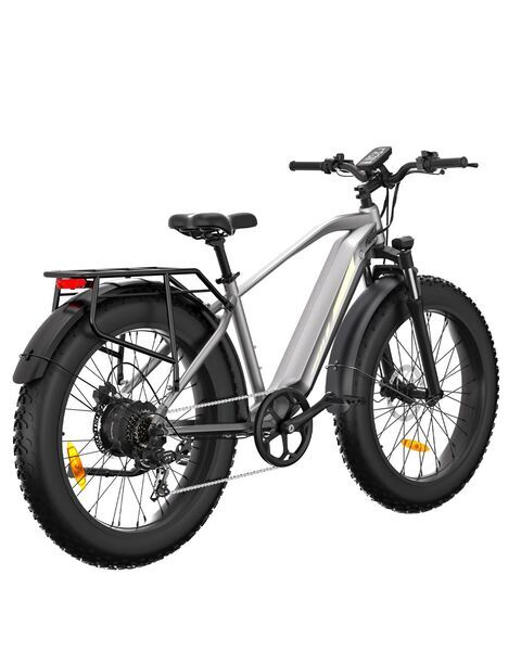 bodywel D6 Silver | silver | 26" | unisize | < 500 km, image 3 of 5