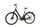 Breezer Powertrip EVO IG 2.3+ (2022) | Tiefeinsteiger | grün | 28" | 50 cm | < 100 km thumbnail 2/4