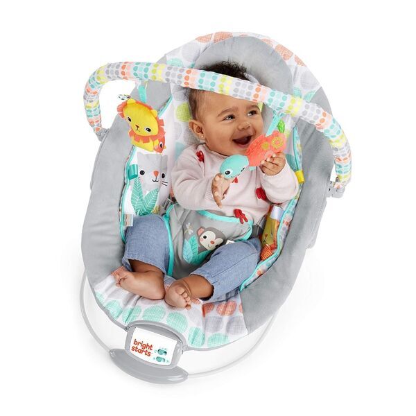 Bright Starts Bouncer Whimsical Wild | mehrfarbig 2