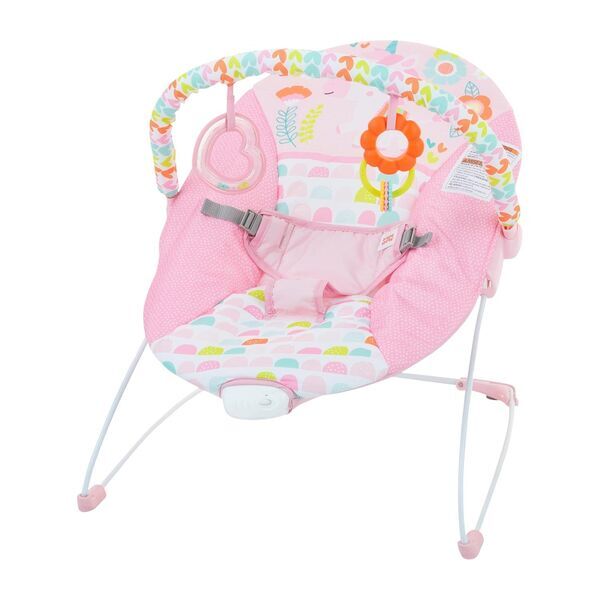 Bright Starts Baby Bouncer Fancy Fantasy | multicolored 1