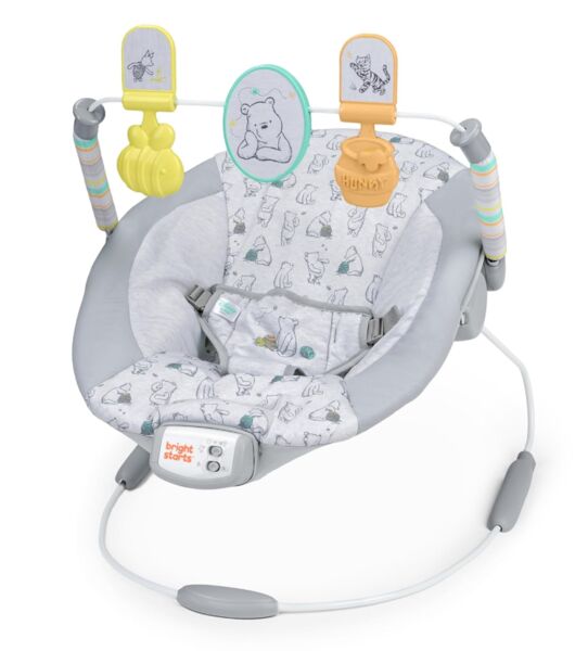 Bright Starts Winnie the Pooh Babywippe | grau, image 1 of 1