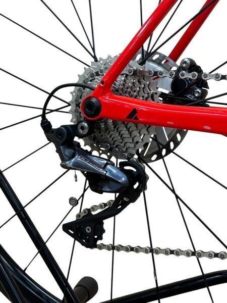 Bulls Alpine Hawk Evo 2020 | must | 28" | 58 cm | 500 - 3000 km 3