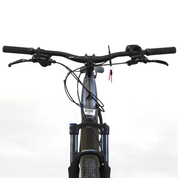 Bulls Copperhead E2 (2021) | Diamant | grau | 29" | 54 cm | > 4000 km 4